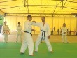 Tecniche di Aikido