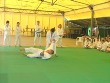 Tecniche di Aikido